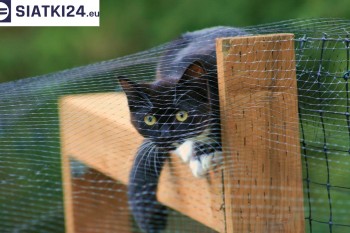Siatki Sierpc - Dobra siatka balkonowa - na ptaki i dla kota dla terenów Sierpca