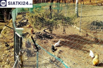 Siatki Sierpc - Siatka na woliery - zabezpieczenia ptaków w hodowli dla terenów Sierpca